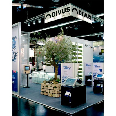 decher_olivenbaum-extra-mit-mauerverkleidung-extern