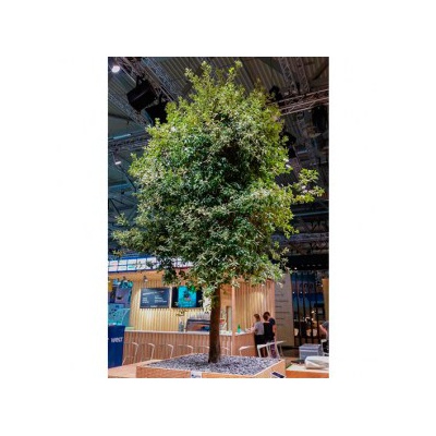 decher_steineiche-mit-holzverkleidung-extern_295x295